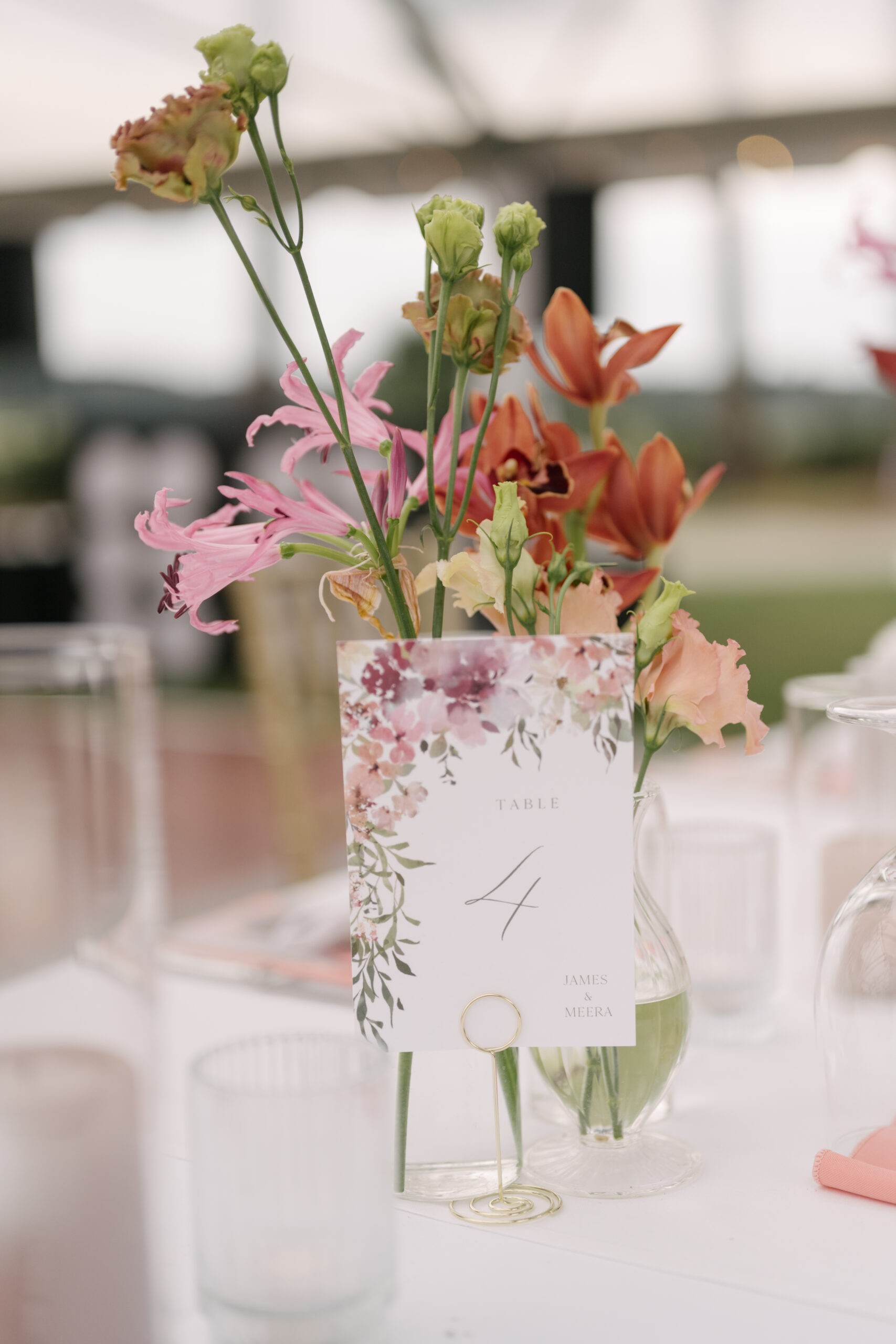 Meera & James 25